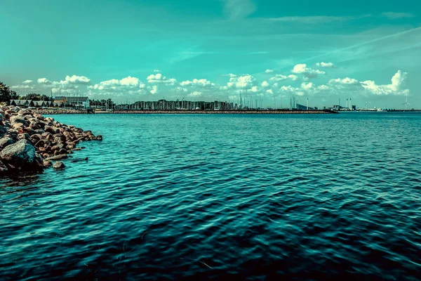 Balık Yosunlarının Güzel Sualtı Dünyası — Stok fotoğraf