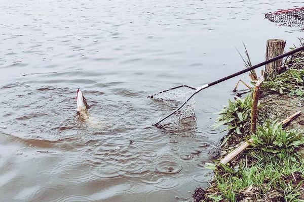 Pesca Deporte Recreación Fondo — Foto de Stock