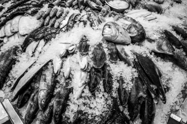 Peixes Mariscos Frescos Gelo Mercado — Fotografia de Stock