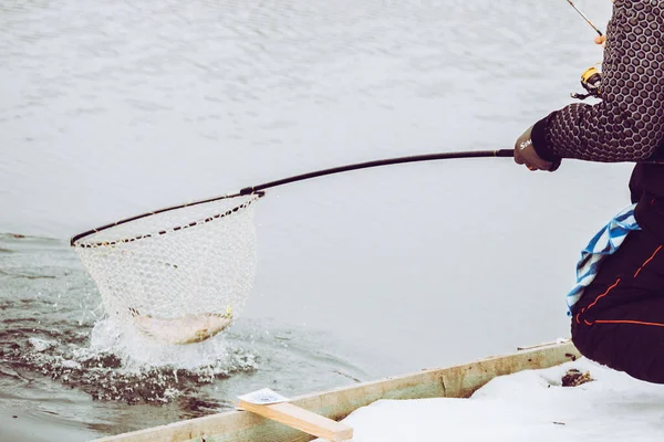 Pêche Truite Dans Fond Lac — Photo