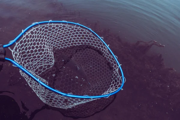 Pesca Alla Trota Sul Lago — Foto Stock