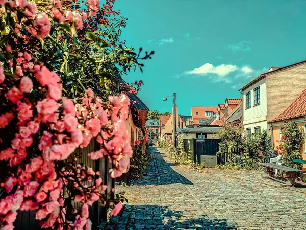 Bela Aldeia Marítima Dinamarca — Fotografia de Stock