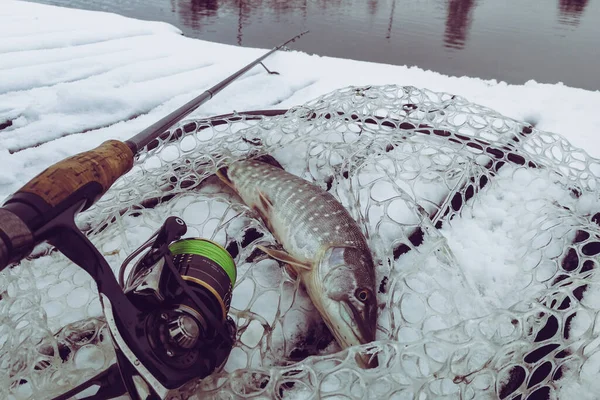 Gäddfiske Sjön Fritidsfiske — Stockfoto