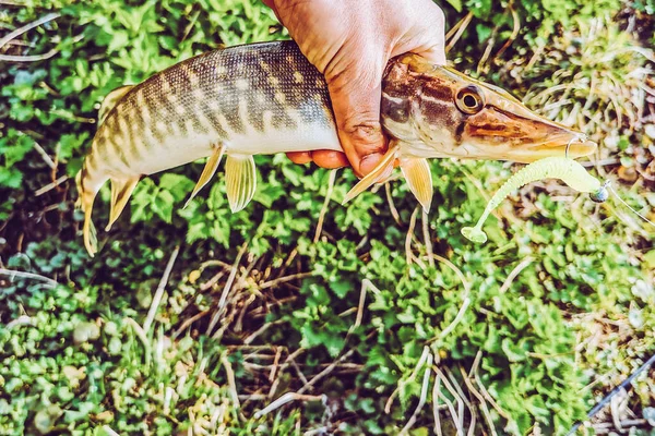 Pesca Riposo Campagna Contesto Sul Tema Della Ricreazione — Foto Stock