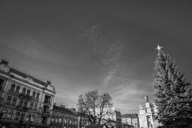 Muhteşem kış Lviv mimarisi ve sokakları