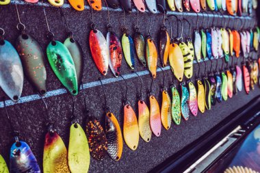 Gölde alabalık avı