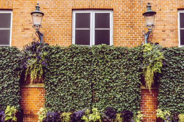 Kopenhag 'daki güzel yeşil park