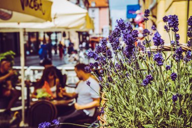 Wroclaw, Polonya - 15 Haziran 2019 Wroclaw Evleri ve Wroclaw şehrinin sokakları. Şehir manzarası