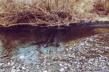 Dağların ve nehirlerin güzel doğası