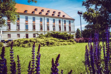Wroclaw 'ın güzel kiliseleri. Çekicilik, Avrupa 'da seyahat