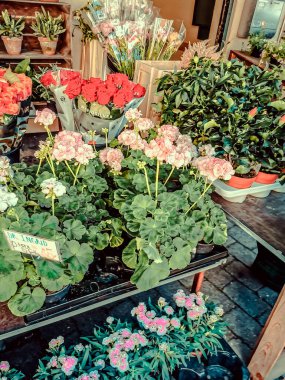 Danimarka 'nın güzel deniz köyü