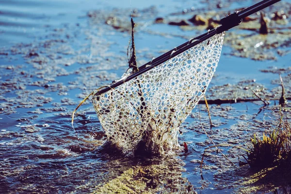 Pesca Del Luccio Sul Lago Attività Ricreative Pesca — Foto Stock