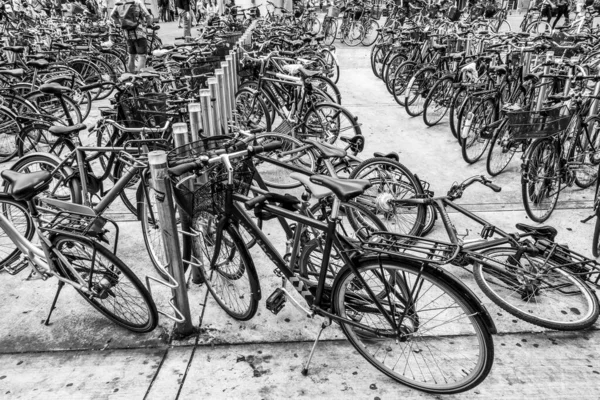 Copenhaga Dinamarca Escandinávia Belo Dia Verão — Fotografia de Stock