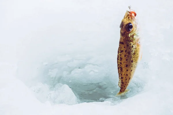 Inverno Fundo Pesca Gelo — Fotografia de Stock