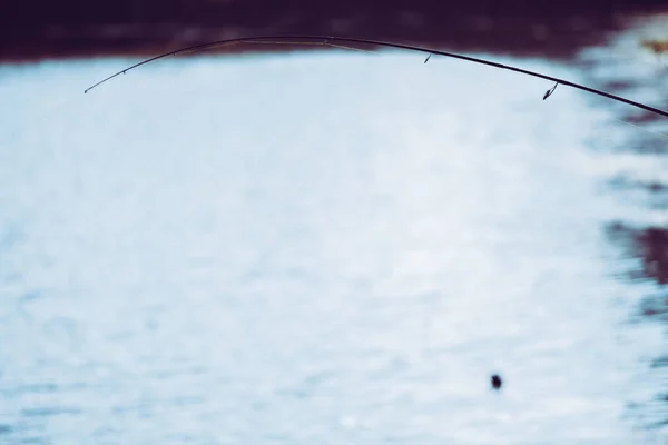 Pesca Lúcio Lago Recreação Pesca — Fotografia de Stock