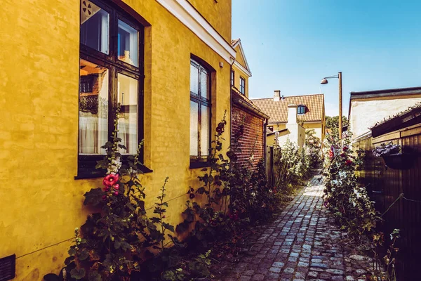 Güzel Pitoresk Danimarka Köyü — Stok fotoğraf