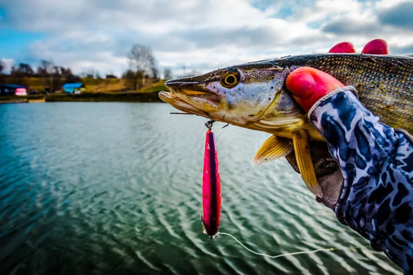 Fishing Fishing Lake — Stock Photo, Image