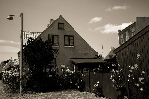 Resimli Bir Köyde Güzel Bir Danimarka Mimarisi — Stok fotoğraf