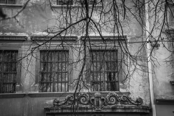 Nádherná Zima Lvov Architektura Ulice — Stock fotografie