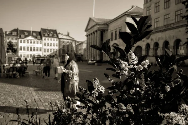 Copenhaga Dinamarca Escandinávia Belo Dia Verão — Fotografia de Stock