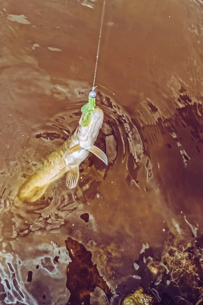 Pesca Descanso Rural Contexto Sobre Tema Recreación — Foto de Stock