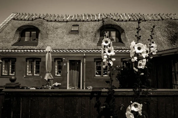 Resimli Bir Köyde Güzel Bir Danimarka Mimarisi — Stok fotoğraf