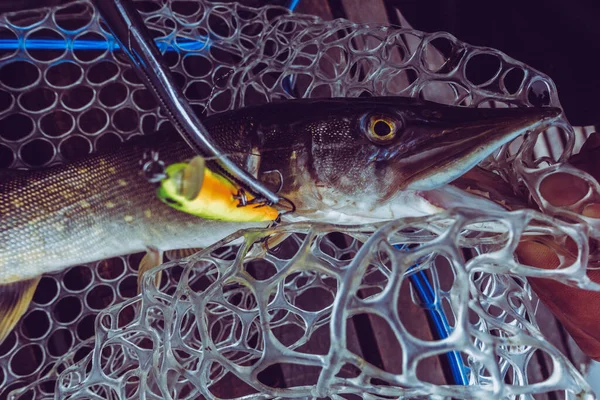 Pesca Ricreazione All Aperto Sfondo Lago — Foto Stock