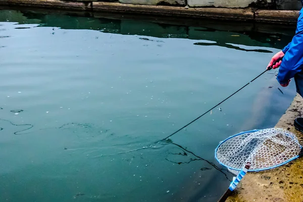 Vissen Forel Aan Het Meer Sportvissen Buitenactiviteiten — Stockfoto