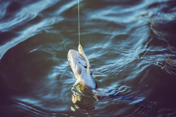 Pesca Alla Trota Sul Lago — Foto Stock