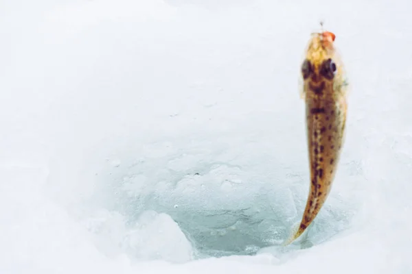 冬季冰捕鱼背景 — 图库照片