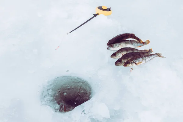 Winter Ice Fishing Background — Stock Photo, Image