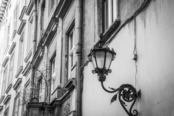 Magnífico Invierno Lviv Arquitectura Calles — Foto de Stock