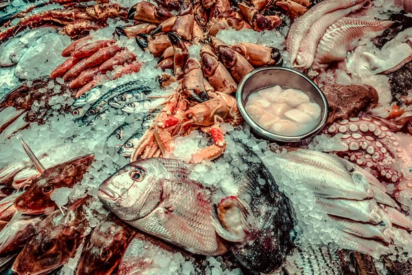 Pescado Fresco Mariscos Sobre Hielo Mercado —  Fotos de Stock