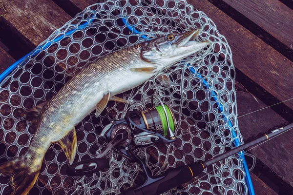 Pêche Loisirs Plein Air Sur Fond Lac — Photo