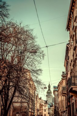 Muhteşem kış Lviv mimarisi ve sokakları