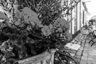 Kopenhag Şehri, Danimarka, İskandinavya. Güzel bir yaz günü