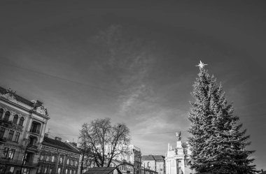 Muhteşem kış Lviv mimarisi ve sokakları