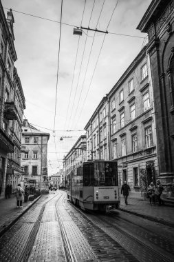 Muhteşem kış Lviv mimarisi ve sokakları
