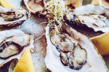 Masadaki istiridyeler lezzetli öğle yemekleri.