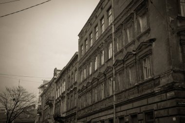 Muhteşem kış Lviv mimarisi ve sokakları