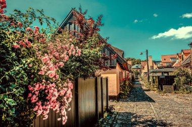Resimli bir köyde güzel bir Danimarka mimarisi