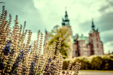 Kopenhag 'daki Güzel Rosenborg Kalesi
