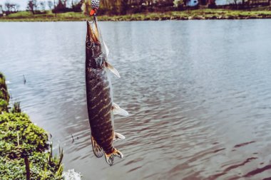 Balıkçılık, köy dinlenmesi. Rekreasyon temasının arkaplanı