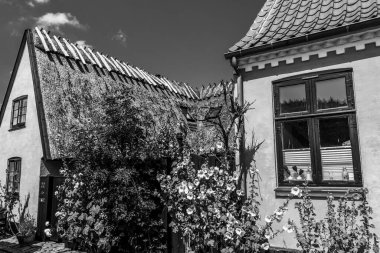 Resimli bir köyde güzel bir Danimarka mimarisi