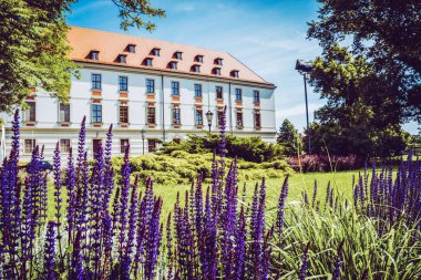 Wroclaw 'ın güzel kiliseleri. Çekicilik, Avrupa 'da seyahat