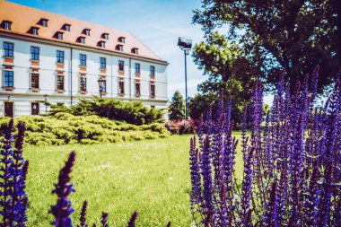 Wroclaw 'ın güzel kiliseleri. Çekicilik, Avrupa 'da seyahat