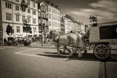 Kopenhag 'ın muhteşem mimarisi