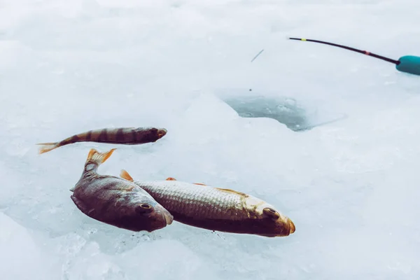 Zimowe Tło Połowów Lodu — Zdjęcie stockowe