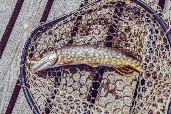 Pesca Descanso Rural Antecedentes Sobre Tema Recreação — Fotografia de Stock