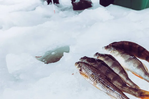 Winter Ice Fishing Background — Stock Photo, Image